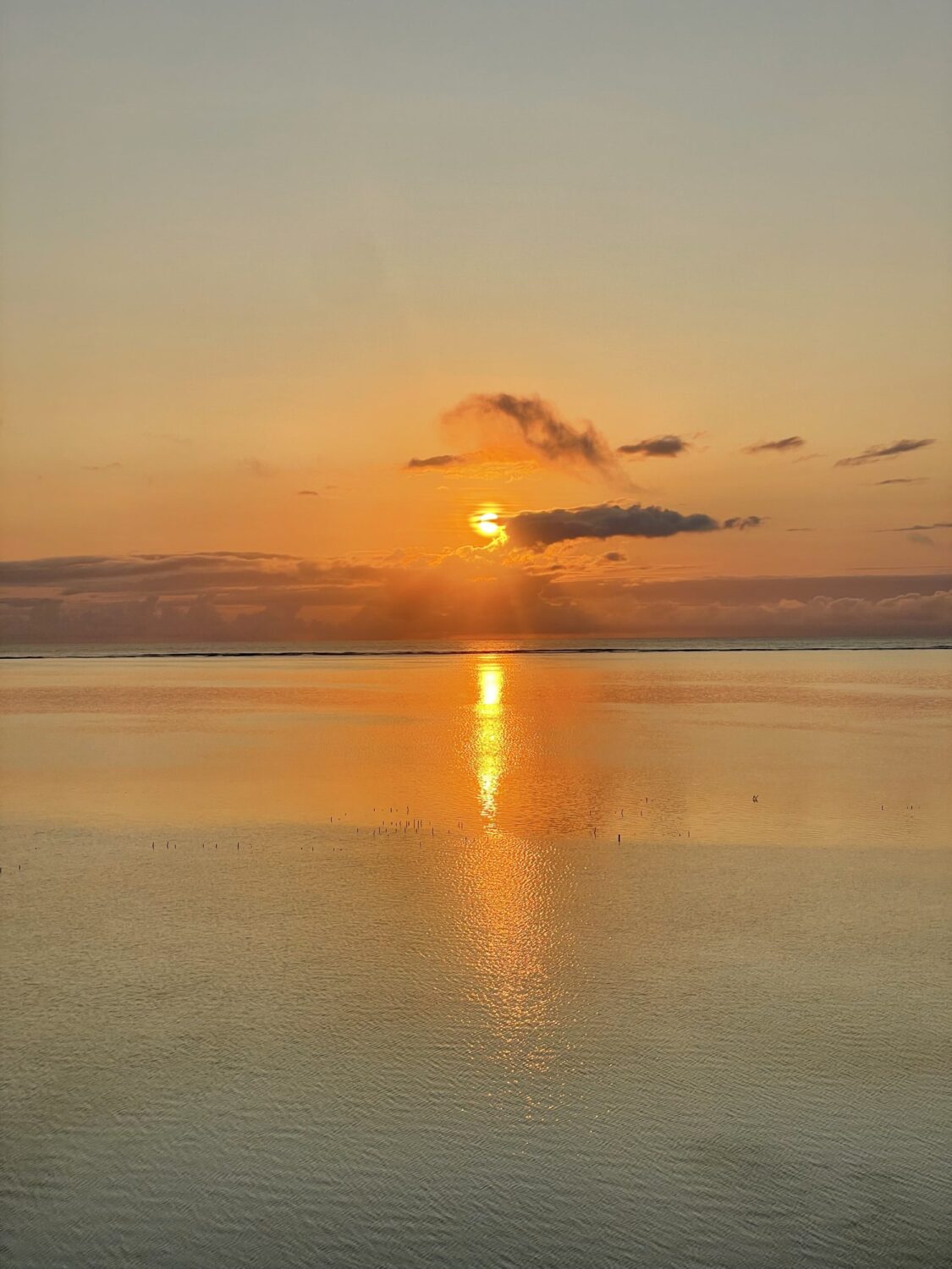 Bild der THH Friedensau