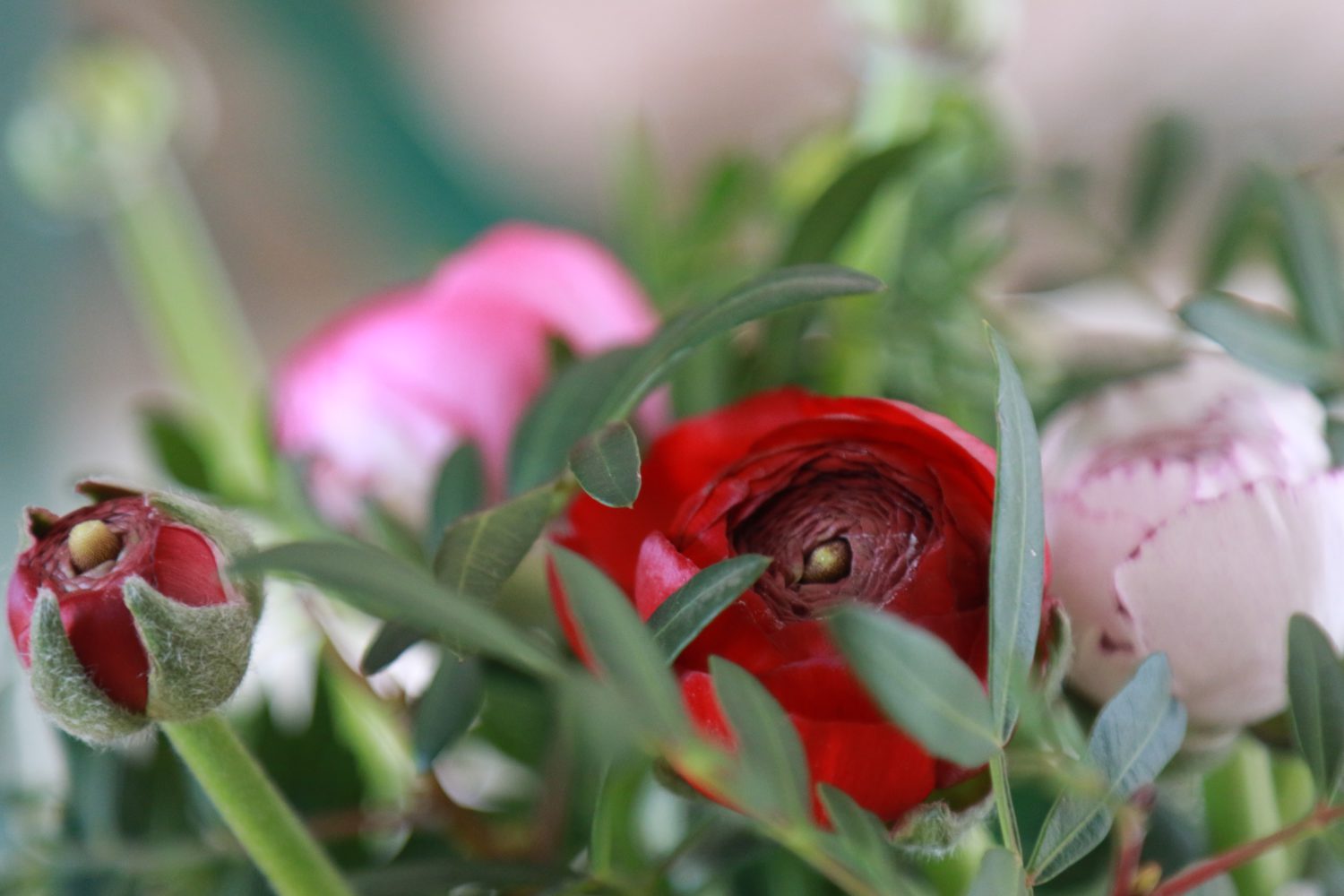 Bild der THH Friedensau